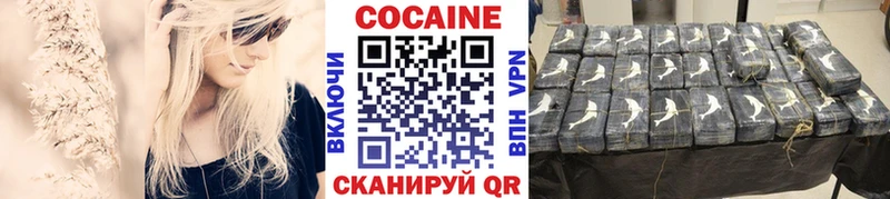 Кокаин FishScale  продажа наркотиков  Курлово 