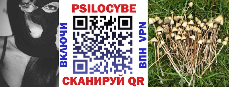 Псилоцибиновые грибы Cubensis  как найти закладки  Курлово 
